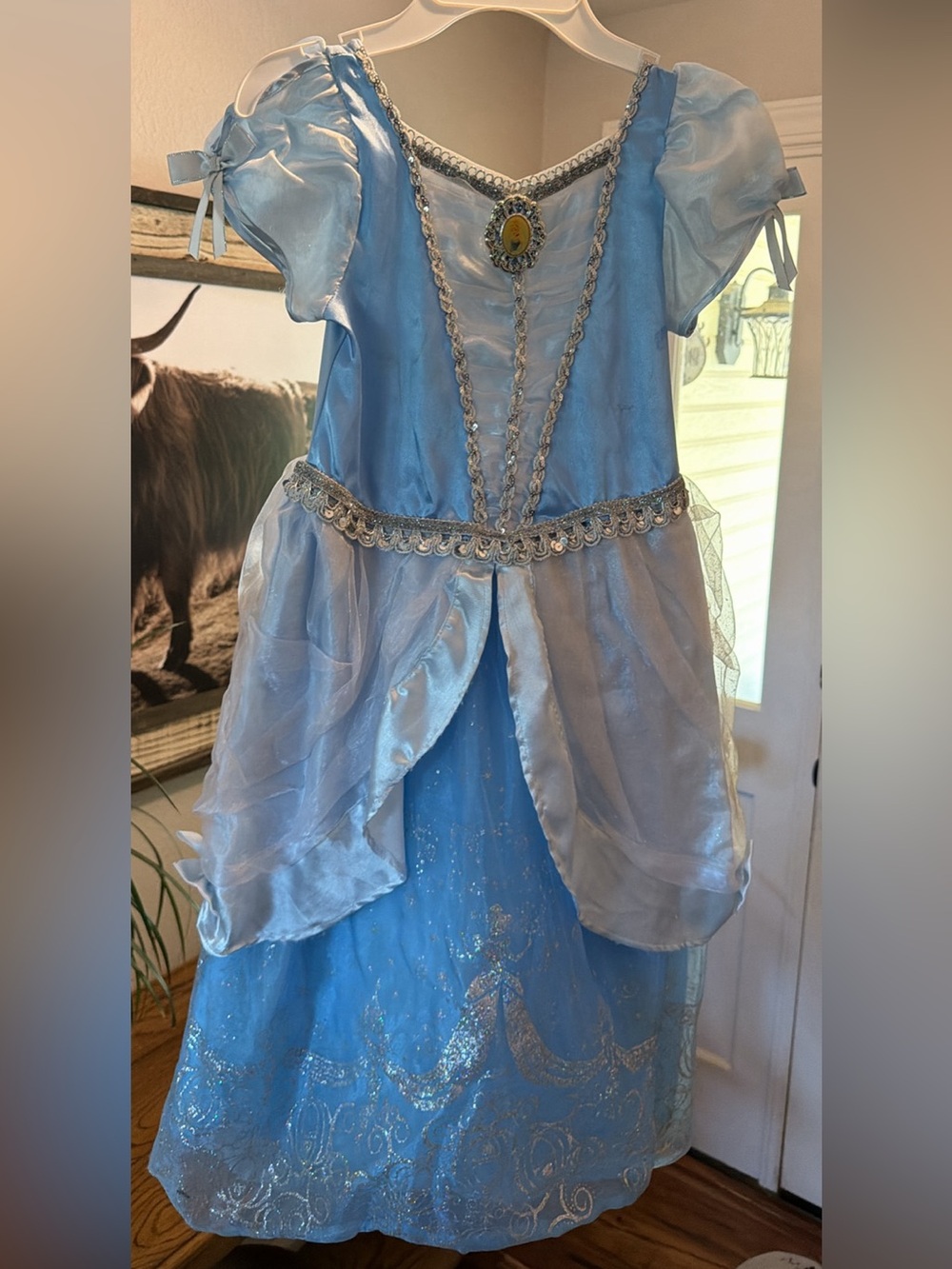 Disney Light Blue Princess Costume Dress with Silver Trim